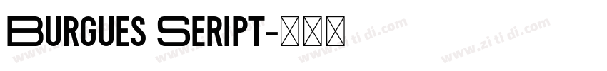Burgues Seript字体转换